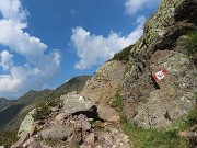 72 Il sent. 161 sale in Valle Bomino al Passo di Verrobbio